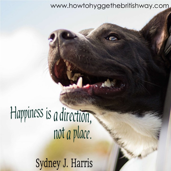 Happiness is a direction