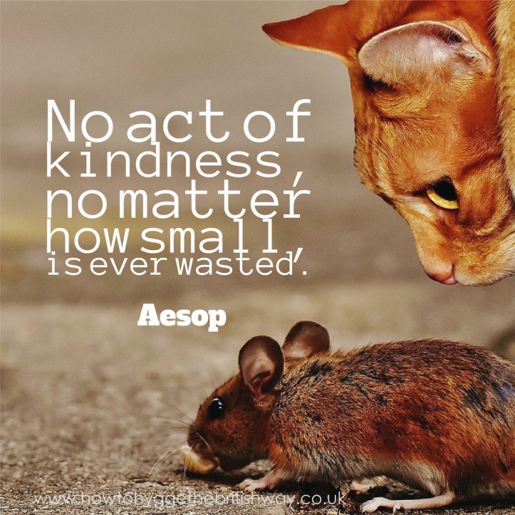 No Act Of Kindness is ever wasted.jpg