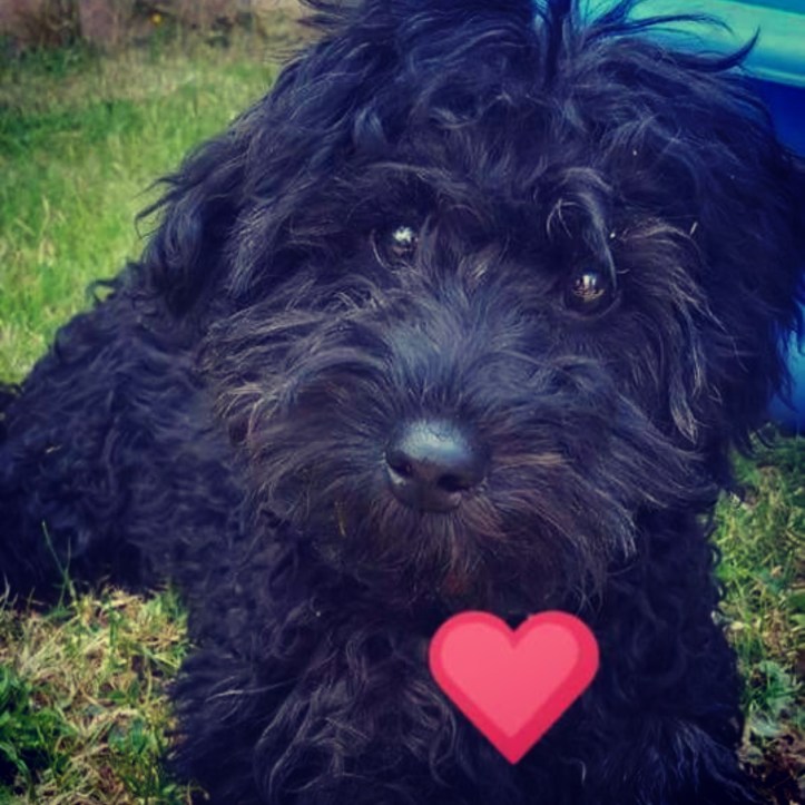 IMG_20180715_023743_389